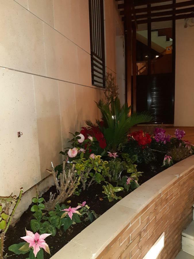 Apartamento Berenguela Κόρδοβα Εξωτερικό φωτογραφία